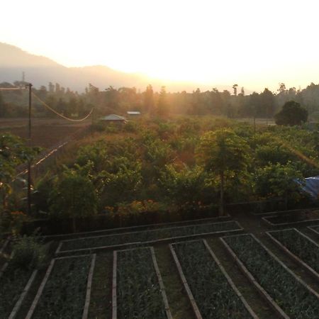 Forest Side Farm - Homestay At Kotabagh Near Nainital And Jim Corbett Exteriör bild