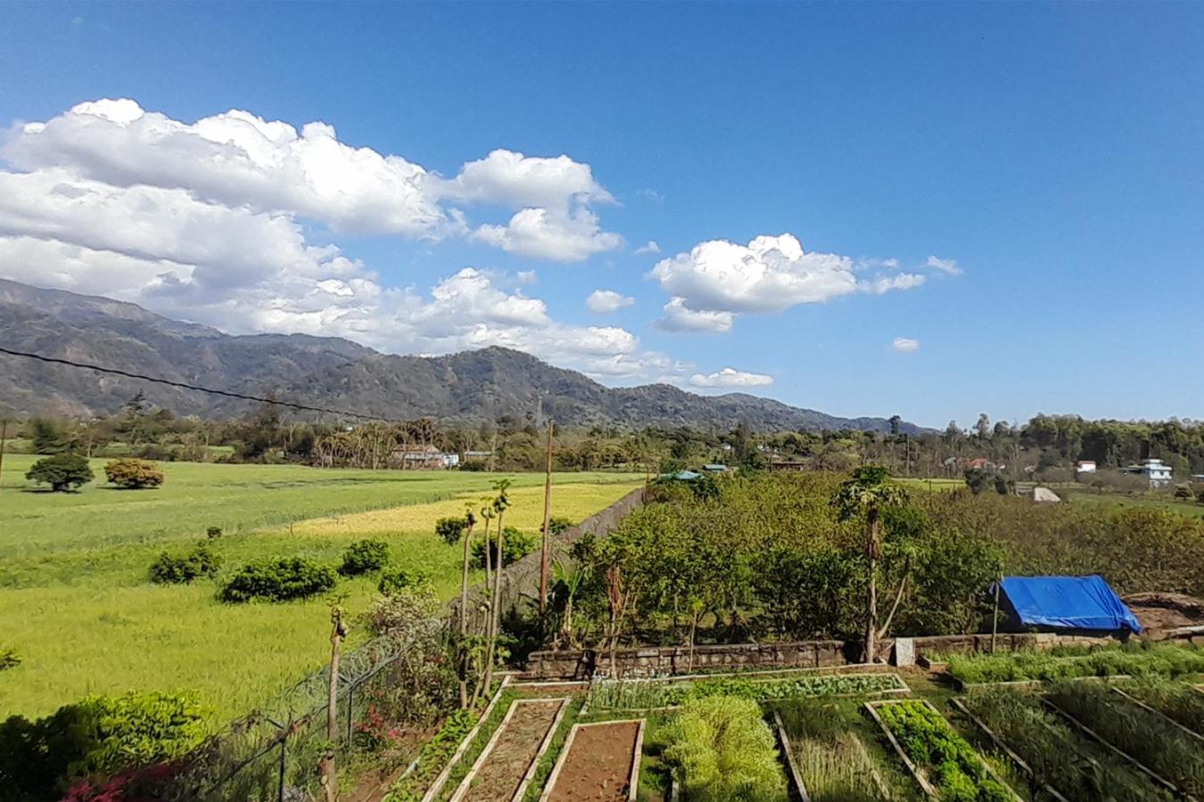 Forest Side Farm - Homestay At Kotabagh Near Nainital And Jim Corbett Exteriör bild